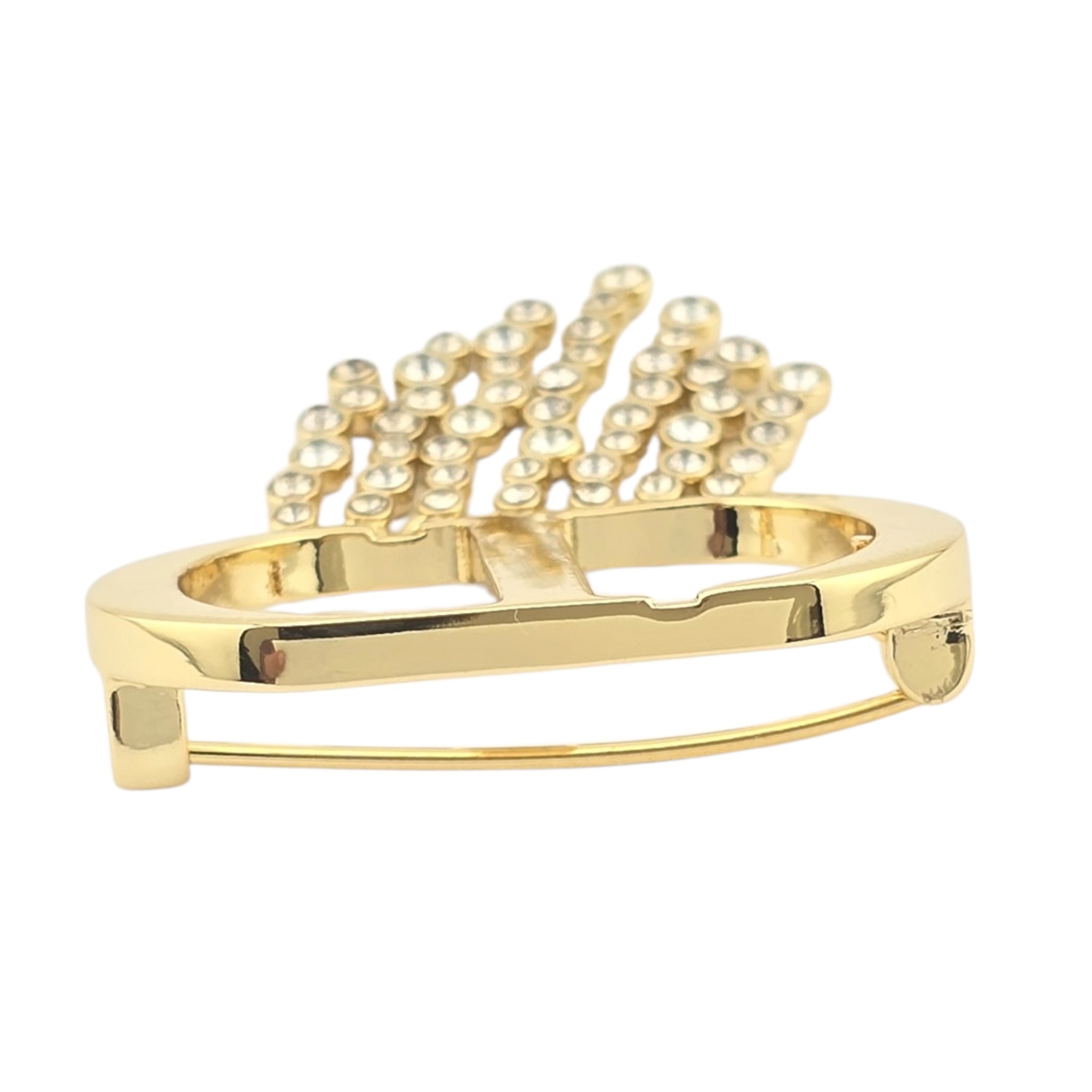 Christian Dior CD 30 Montaigne Brooch DIOR