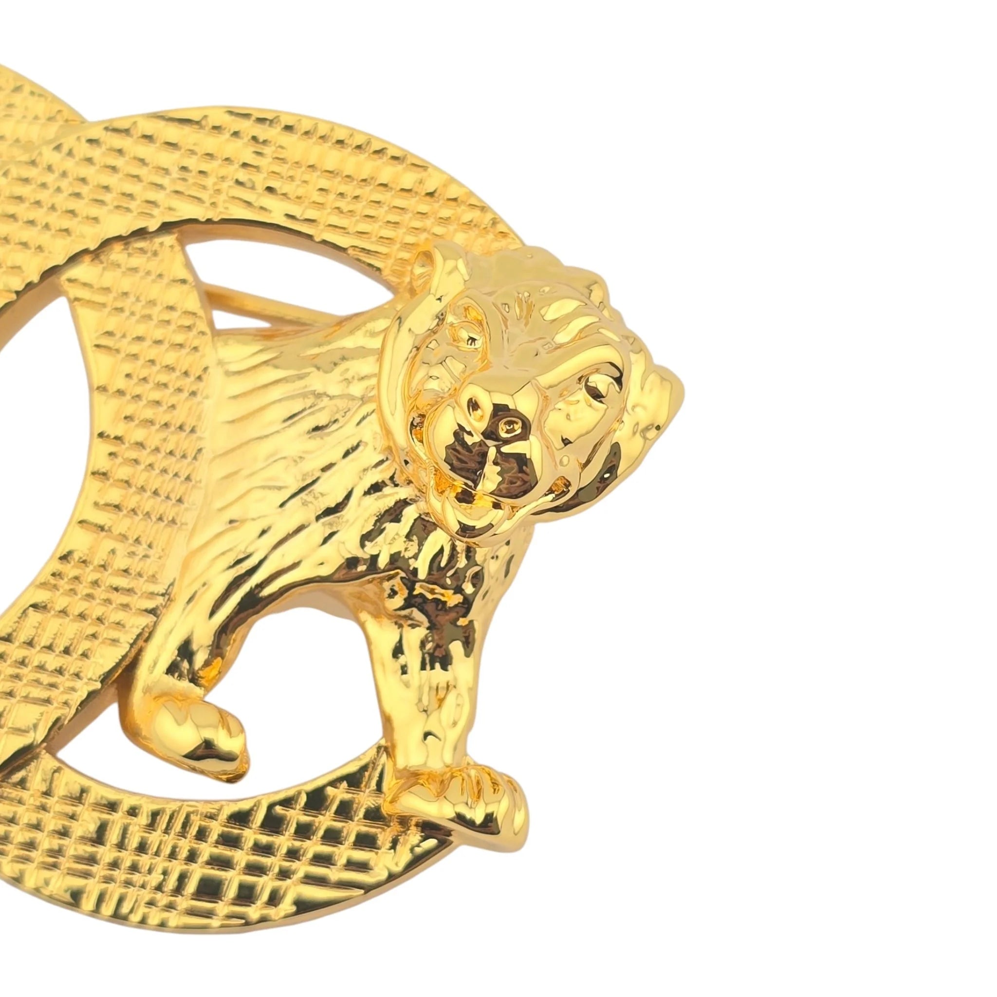 Chanel CC Gold Lion Brooch 2022 CHANEL